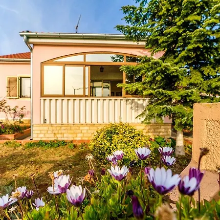 Holiday Home Sango With Garden